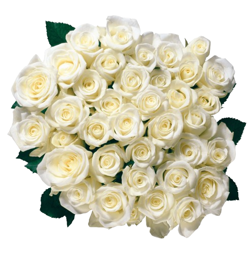 White Avalanche Rose Bouquet